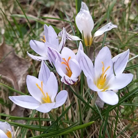 Ai Progni Agroturismo