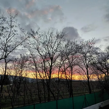 Ai Progni Çiftlik konaklama *